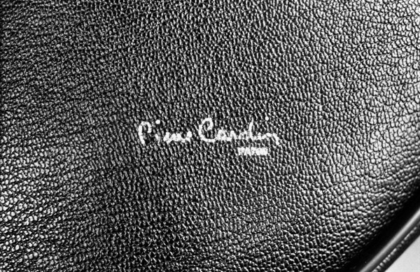 Logo Pierre Cardin