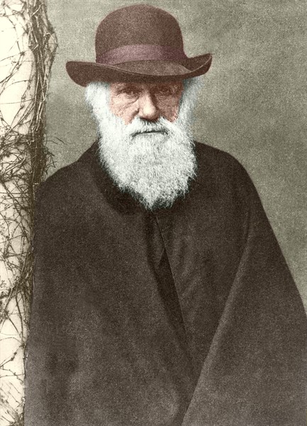 Portrait de Charles Darwin