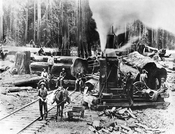 Bûcherons dans l'Oregon