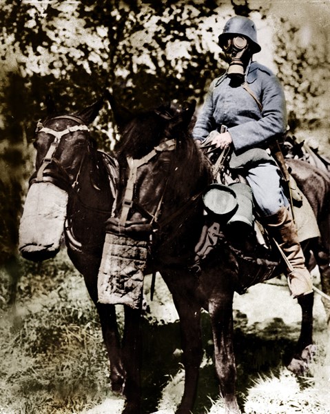 Offensive militaire en Champagne, 1918