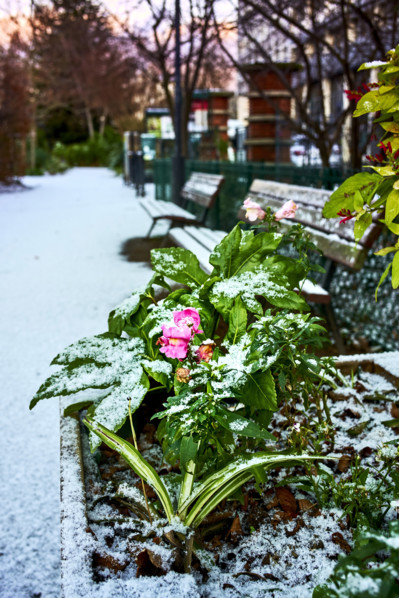Paris in the snow