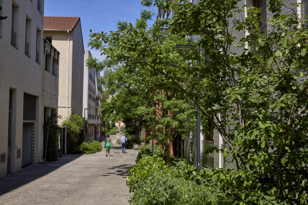 Urban greening in Saint-Denis