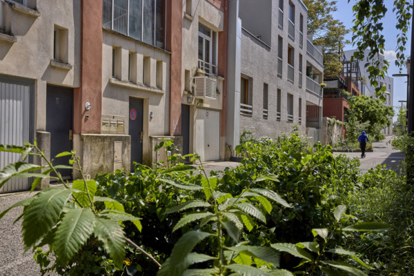 Urban greening in Saint-Denis