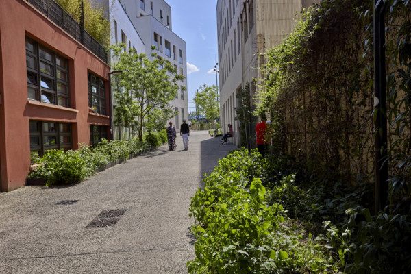 Urban greening in Saint-Denis