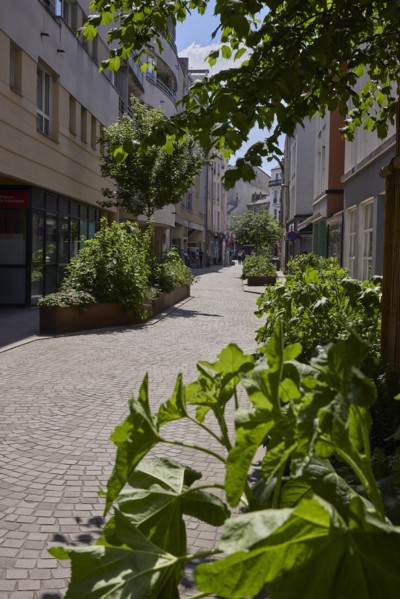 Urban greening in Saint-Denis
