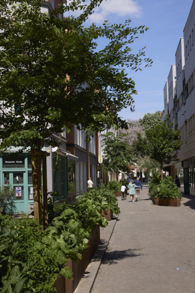 Urban greening in Saint-Denis