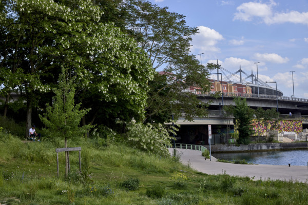 Urban greening in Saint-Denis