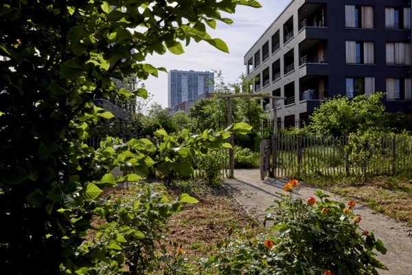 Urban greening in Saint-Denis