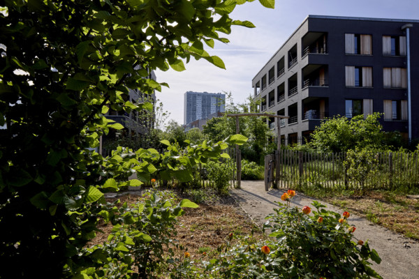 Urban greening in Saint-Denis