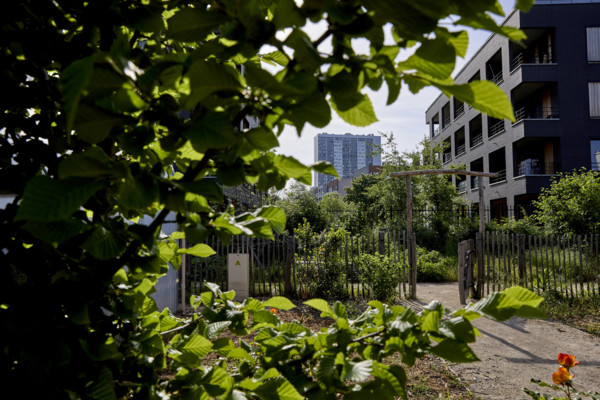 Urban greening in Saint-Denis