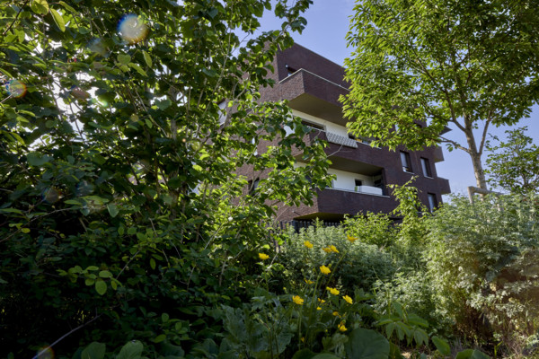 Urban greening in Saint-Denis