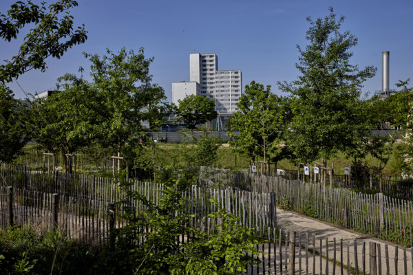 Urban greening in Saint-Denis