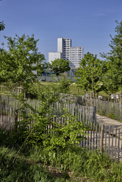 Urban greening in Saint-Denis