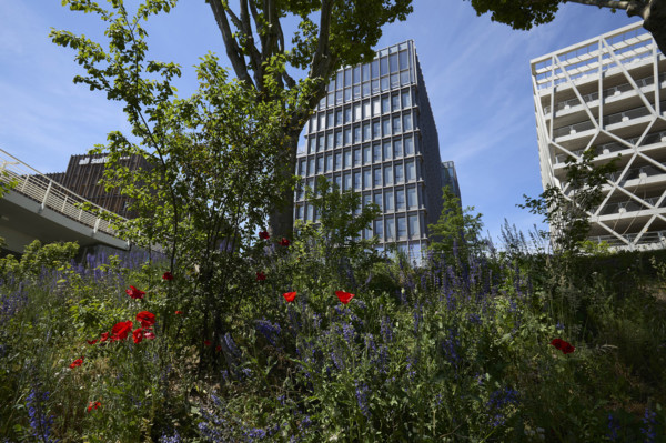 Urban greening in Saint-Denis