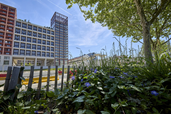 Urban greening in Saint-Denis
