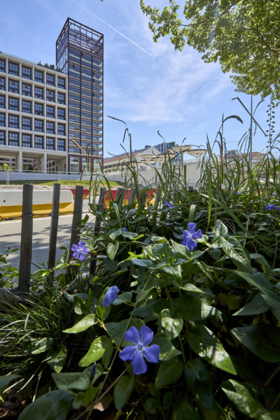 Urban greening in Saint-Denis