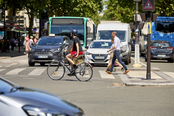 Bicycles and cars in Paris