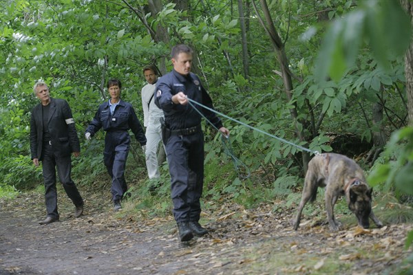 Section de recherches (TV series)