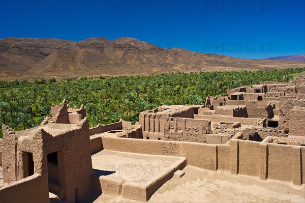 View from the roof of the Tamnougalte Kasbah
