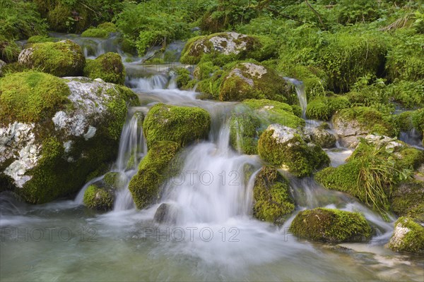 A small mountain stream flows into the river Lepena