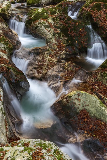 River course of the Lepenica river in autumn