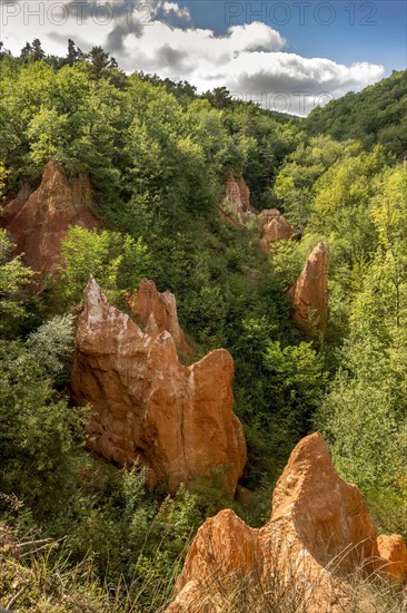 Valley of Saints