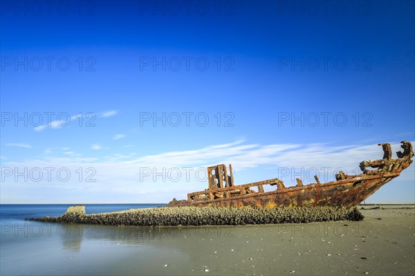 Rusty shipwreck on the beach