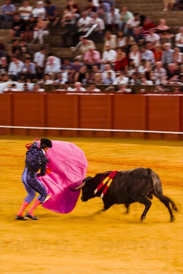 Racing bull with matador