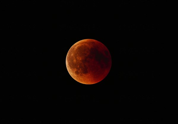 Bloodmoon