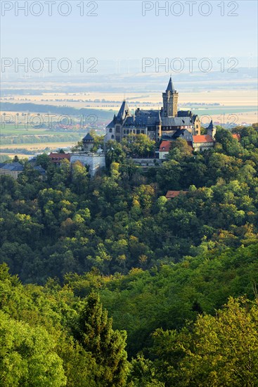 View on Wernigerode Castle