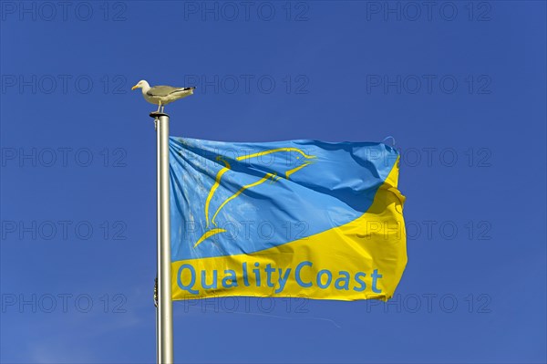 Flag with Quality Coast award