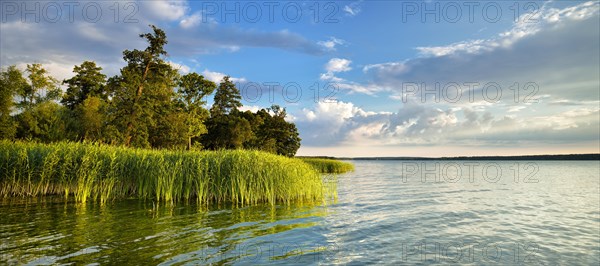 Cloud mood over Lake Scharmutzelsee