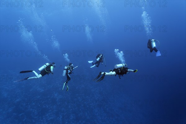 Group of divers diving to the coral reef