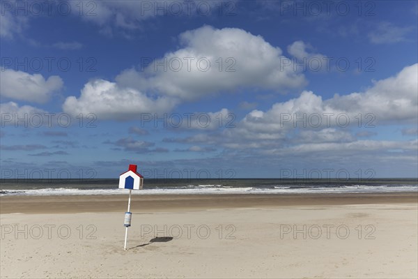 Sandy beach with marked beach section