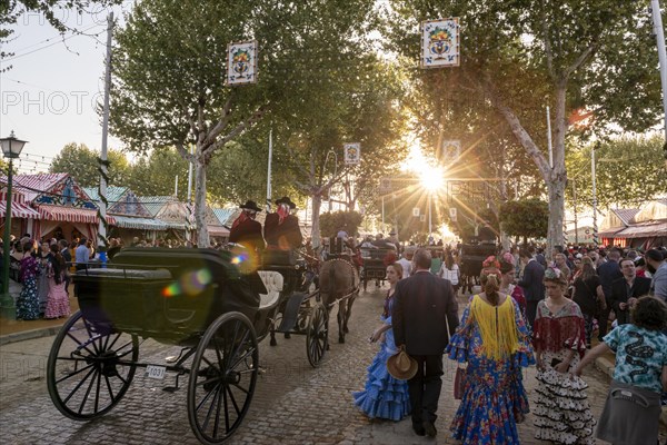 Horse-drawn carriage in front of Casetas