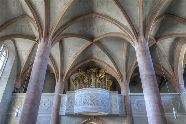 Organ gallery and Gothic vault