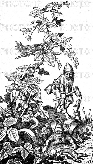 The Heinzelmannchen are a race of creatures appearing in a tale connected with the city of Cologne in Germany