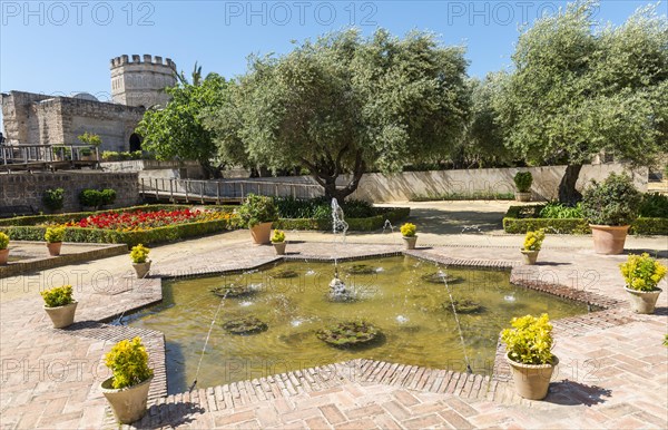 Fountains