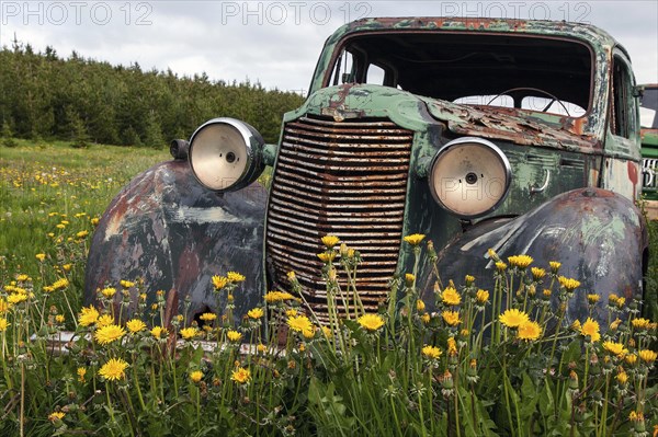 Vintage car