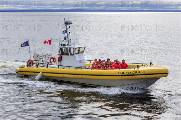 Whale watching tourists on the St. Lawrence River