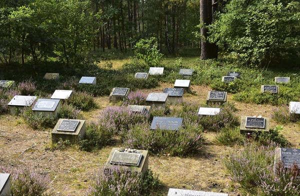 Graves