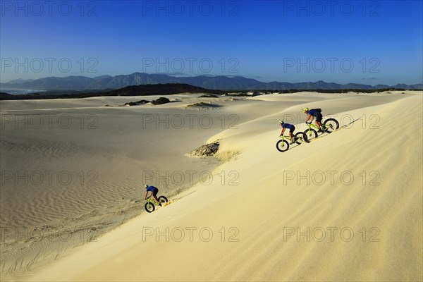 Mountain bikers with fat bikes descending sand dunes