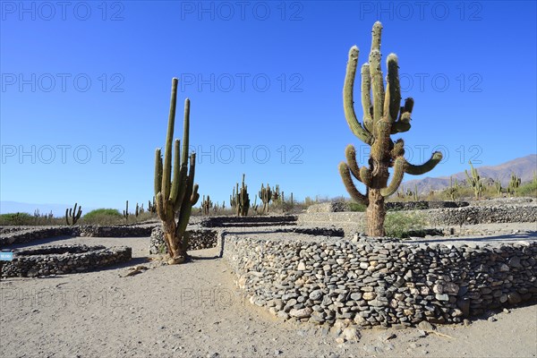 Ruins of Quilmes