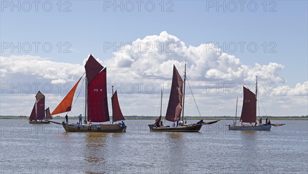Zeesboots on Saaler Bodden