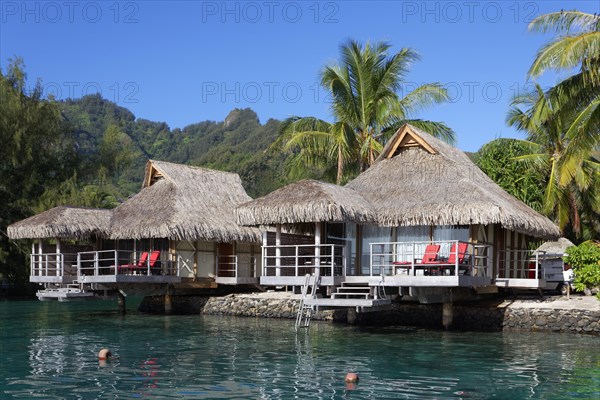 Bungalows by the sea with palm trees in front of green hills