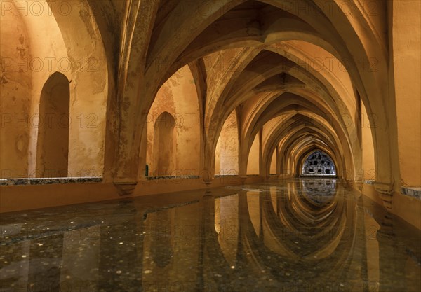 Bath in the vaulted cellar