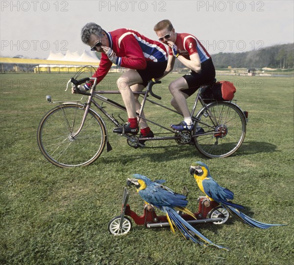Competition two cyclists race against two parrots