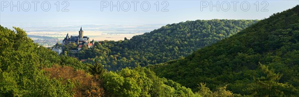 Panorama