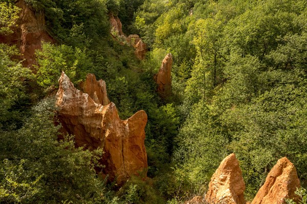 Valley of Saints