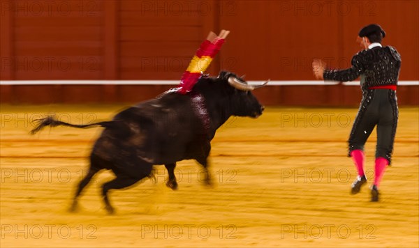 Matador with bull
